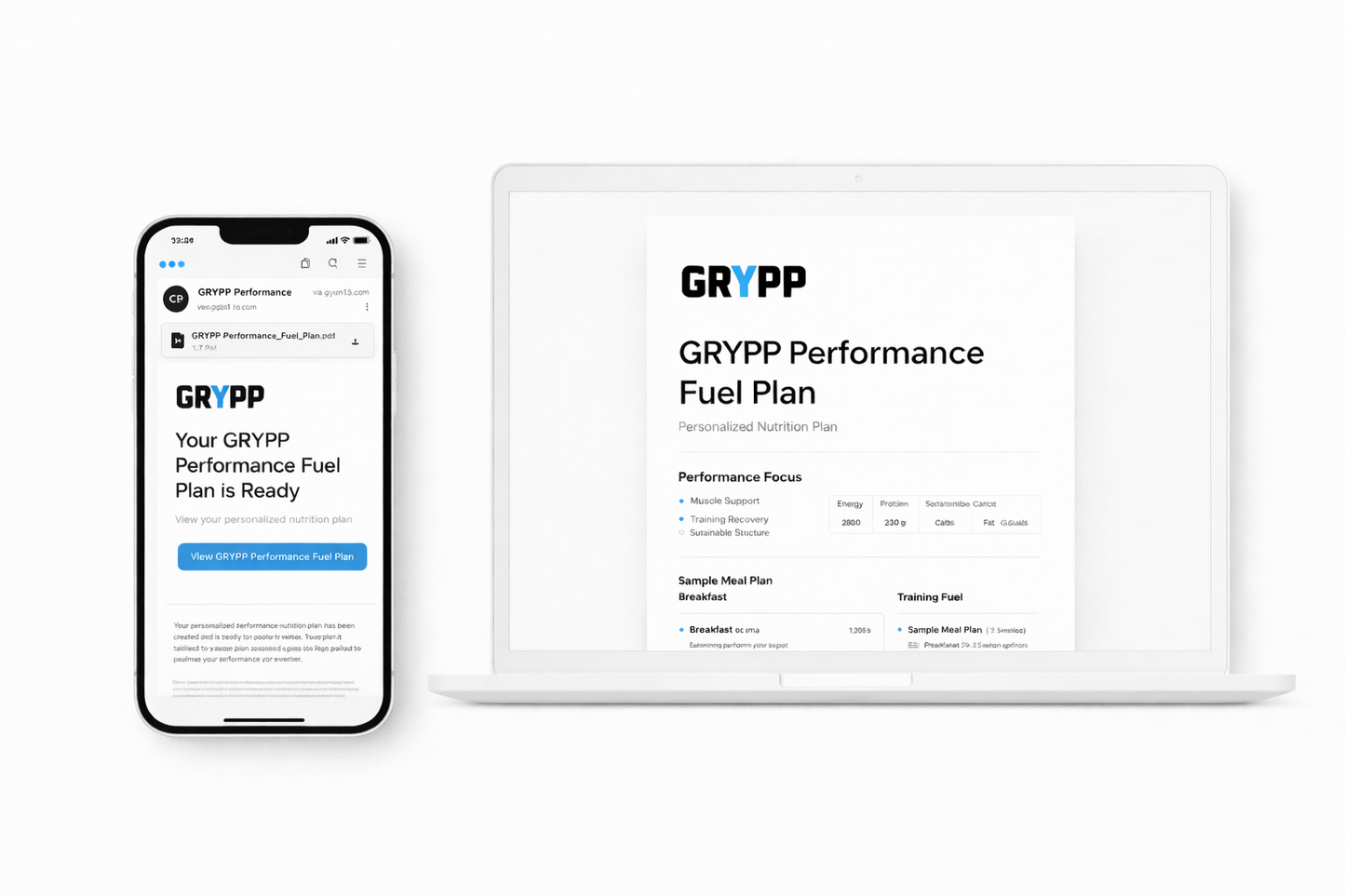 Performance Fuel Plan